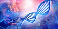 Streamlined ChIP-seq from Small Cell Numbers and Low Chromatin Concentrations