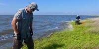 Study Shows Continuing Impacts of Deepwater Horizon Oil Spill