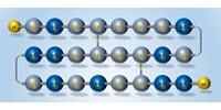 Toward Novel Computing, Fraud Detection Technologies with On-Demand Polymers