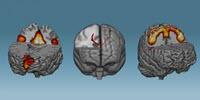 Train Your Brain, Change Your Brain