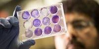 A Better Way to Transport Life-Saving Vaccines