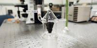A Rose Inspires Smart Way to Collect and Purify Water