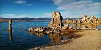Arsenic-Breathing Life Discovered in the Tropical Pacific Ocean