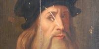 Da Vinci's Hand Impairment Caused by Nerve Damage, Not Stroke