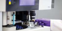 Essential Oils Meet Analytical Chemistry