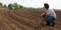 Farmers, Food Companies Hit the Dirt to Improve Soil Health