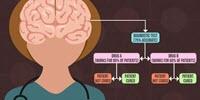 How We Make Complex Decisions