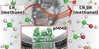 Methane-Consuming Bacteria Could Be the Future of Fuel