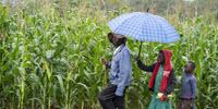 No One-Size-Fits-All Solution for Sustainable Agriculture