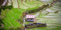 One-Third of the World’s Longest Rivers Remain Free-Flowing