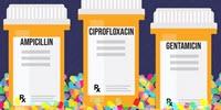 Painting a Fuller Picture of How Antibiotics Act