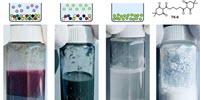Plastic Gets a Do-Over: Breakthrough Discovery Recycles Plastic from the Inside Out
