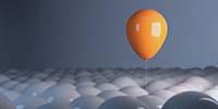 Transitioning to Management