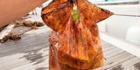 When Biodegradable Plastic Isn't
