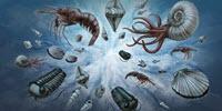 A New Normal: Study Explains Universal Pattern in Fossil Record