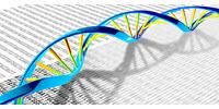 A Treasure Map to Understanding Epigenetic Causes of Disease