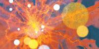 An All-Inclusive AI Lab