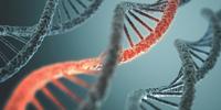 Deciding on a PCR Detection Method