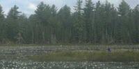 Meat-Eating Plant Discovered in Canada