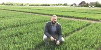 Wheat Myth Debunked