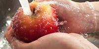 An Apple Carries about 100 Million Bacteria—Good Luck Washing Them Off
