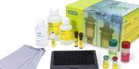 Bio-Rad Launches Bio-Plex Pro Human Immunotherapy Panel 20-plex Multiplex Assay