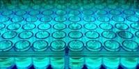 Chemists Give Chance a Helping Hand