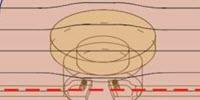 Cyborg-Like Microchip Valve Driven by Earthworm Muscle