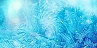 Developments in Freeze Drying