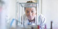Expert Guidance on Your Path to a Higher Standard of Quality