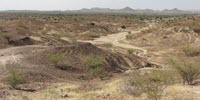 Fossil of Smallest Old World Monkey Species Discovered in Kenya