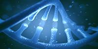 Like Film Editors and Archaeologists, Biochemists Piece Together Genome History