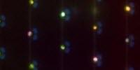 Microfluidic Array Catches, Holds Single Cervical Cells for Faster Screening