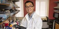 Microscopy and VR Illuminate New Ways to Prevent and Treat Disease