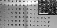Molecular Thumb Drives: Researchers Store Digital Images in Metabolite Molecules