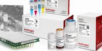 New Library Prep Kits Help Prevent Costly Errors in Whole-Genome DNA Sequencing