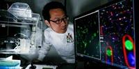 New Probe Could Help Surgeons More Accurately Remove Tumors