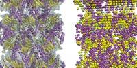 New Software Brings Lower-Resolution Cryo-EM Maps into Focus