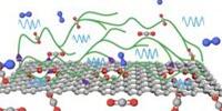 Next-Gen Membranes for Carbon Capture