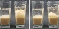 Novel Powdered Milk Method Yields Better Frothing Agent
