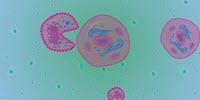 Plant Viruses May Be Reshaping Our World