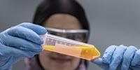Quenching Scientific Curiosity with Single-Molecule Imaging