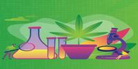 Sample Preparation for Cannabis Testing