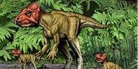 Small Horned Dinosaur from China, a Triceratops Relative, Walked on Two Feet