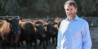 Study Shows Potential for Reduced Methane from Cows
