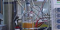 The Science of Fermentation