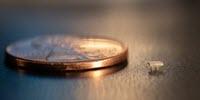 Tiny Vibration-Powered Robots Are the Size of the World's Smallest Ant