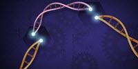 University Releases Comprehensive Review of the Future of CRISPR Technology in Crops