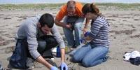 What Motivates People to Join—and Stick with—Citizen Science Projects?