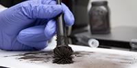 A New Solution to Countering Bad Science in Forensics